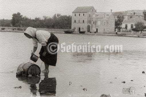 zlarin šibenik